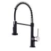 The new model is beautiful and durable Single Handle Pull-Down Sprayer Kitchen Faucet in Black+Gold