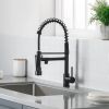 New Standard Single Handle kitchen faucet with pull-down kitchen faucet in Brushed Nickel